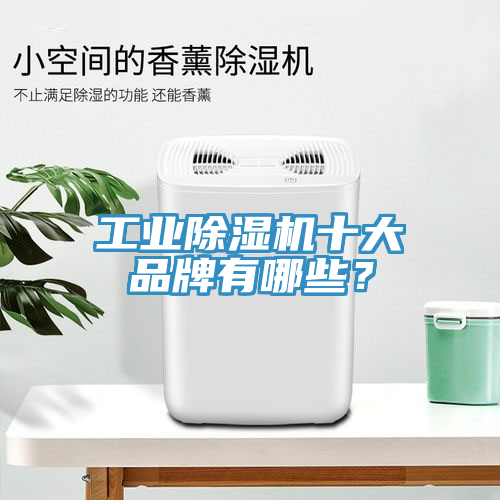 工业辣椒视频APP下载并安装十大品牌有哪些？