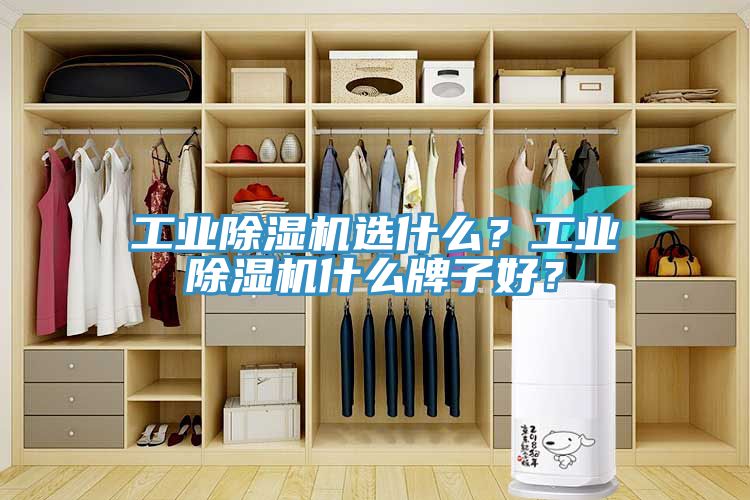 工业辣椒视频APP下载并安装选什么？工业辣椒视频APP下载并安装什么牌子好？