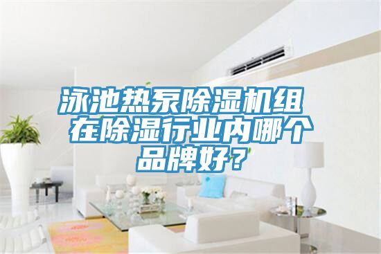 泳池热泵辣椒视频APP下载并安装组 在除湿行业内哪个品牌好？