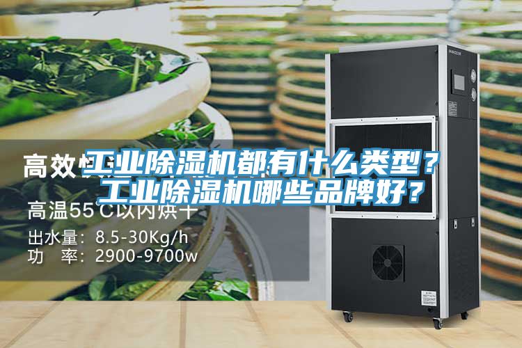 工业辣椒视频APP下载并安装都有什么类型？工业辣椒视频APP下载并安装哪些品牌好？