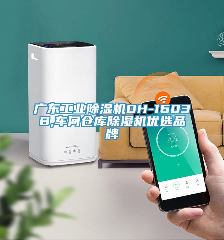 广东工业辣椒视频APP下载并安装DH-1603B,车间仓库辣椒视频APP下载并安装优选品牌
