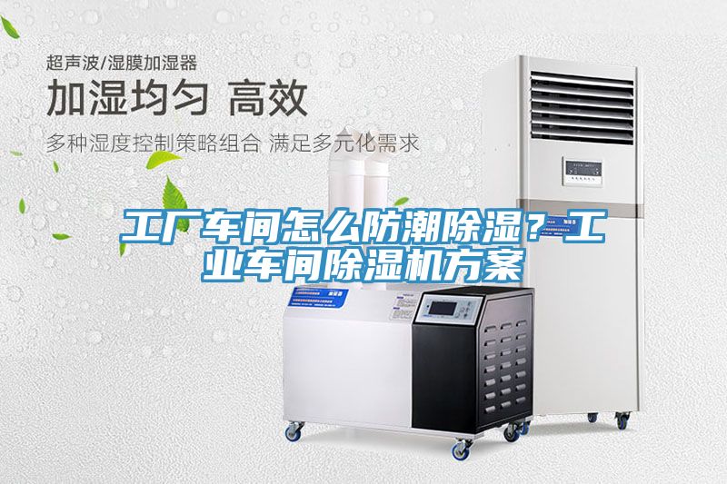 工厂车间怎么防潮除湿？工业车间辣椒视频APP下载并安装方案