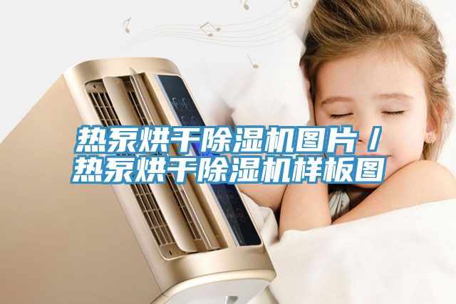 热泵烘干辣椒视频APP下载并安装图片／热泵烘干辣椒视频APP下载并安装样板图