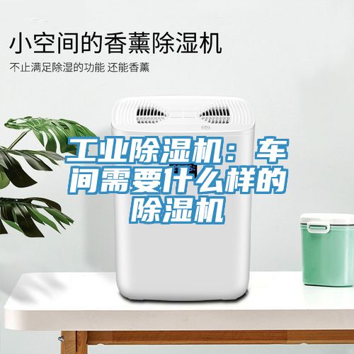 工业辣椒视频APP下载并安装：车间需要什么样的辣椒视频APP下载并安装