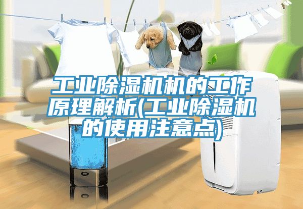 工业辣椒视频APP下载并安装机的工作原理解析(工业辣椒视频APP下载并安装的使用注意点)