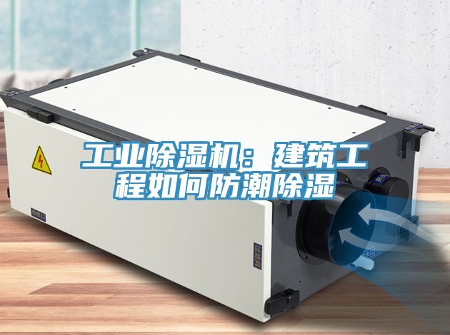 工业辣椒视频APP下载并安装：建筑工程如何防潮除湿