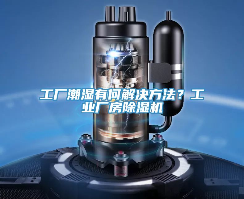 工厂潮湿有何解决方法？工业厂房辣椒视频APP下载并安装