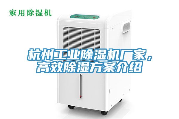 杭州工业辣椒视频APP下载并安装厂家，高效除湿方案介绍