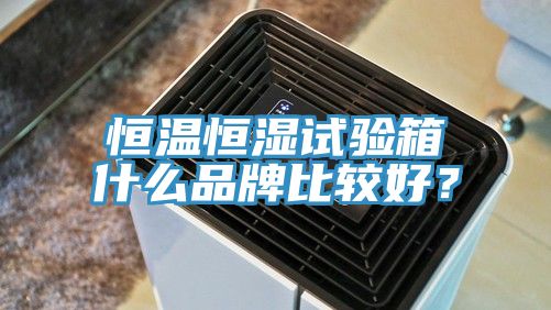 恒温恒湿试验箱什么品牌比较好？