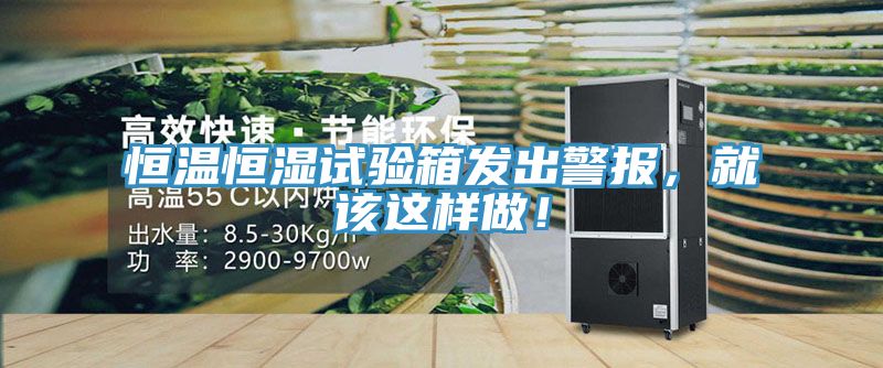 恒温恒湿试验箱发出警报，就该这样做！