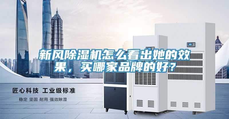新风辣椒视频APP下载并安装怎么看出她的效果，买哪家品牌的好？