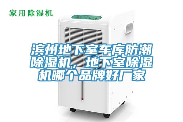 滨州地下室车库防潮辣椒视频APP下载并安装，地下室辣椒视频APP下载并安装哪个品牌好厂家