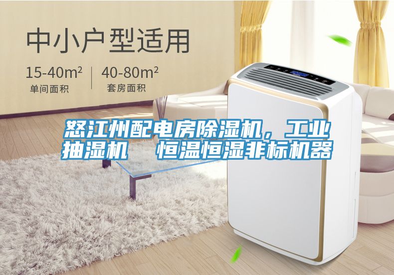 怒江州配电房辣椒视频APP下载并安装，工业抽湿机  恒温恒湿非标机器