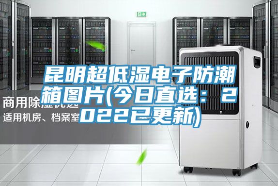 昆明超低湿电子防潮箱图片(今日直选：2022已更新)