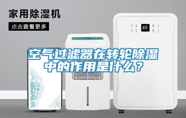 空气过滤器在转轮除湿中的作用是什么？