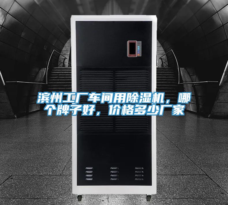 滨州工厂车间用辣椒视频APP下载并安装，哪个牌子好，价格多少厂家