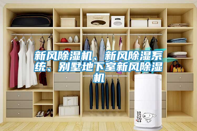 新风辣椒视频APP下载并安装、新风除湿系统、别墅地下室新风辣椒视频APP下载并安装