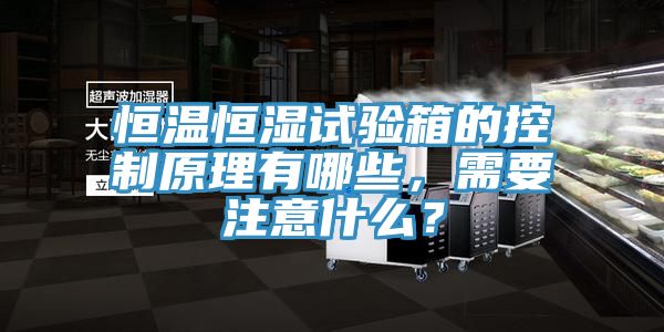 恒温恒湿试验箱的控制原理有哪些，需要注意什么？