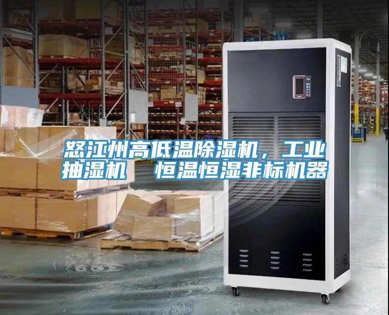 怒江州高低温辣椒视频APP下载并安装，工业抽湿机  恒温恒湿非标机器