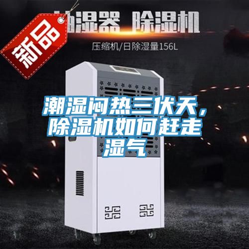 潮湿闷热三伏天，辣椒视频APP下载并安装如何赶走湿气