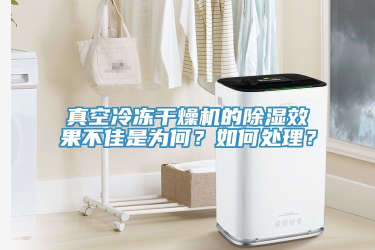 真空冷冻干燥机的除湿效果不佳是为何？如何处理？