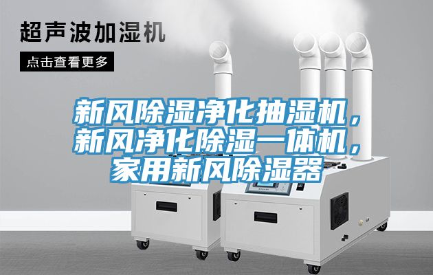 新风除湿净化抽湿机，新风净化除湿一体机，家用新风除湿器