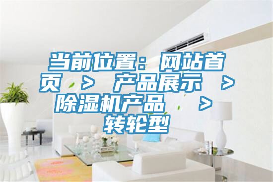 当前位置：网站首页 ＞ 产品展示 ＞ 辣椒视频APP下载并安装产品  ＞ 转轮型