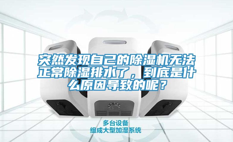 突然发现自己的辣椒视频APP下载并安装无法正常除湿排水了，到底是什么原因导致的呢？