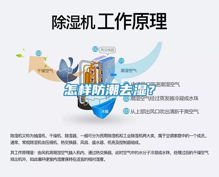怎样防潮去湿？