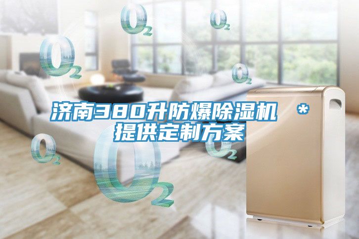 济南380升防爆辣椒视频APP下载并安装 ＊提供定制方案
