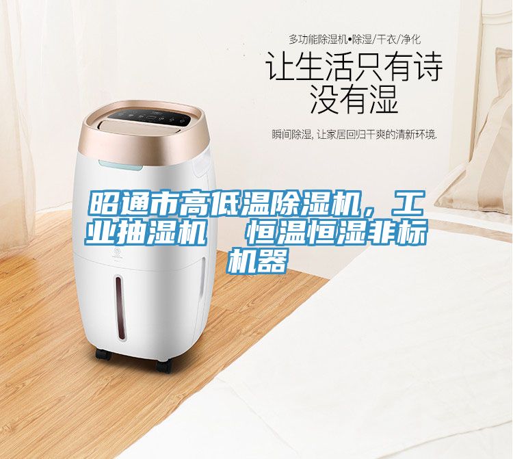 昭通市高低温辣椒视频APP下载并安装，工业抽湿机  恒温恒湿非标机器