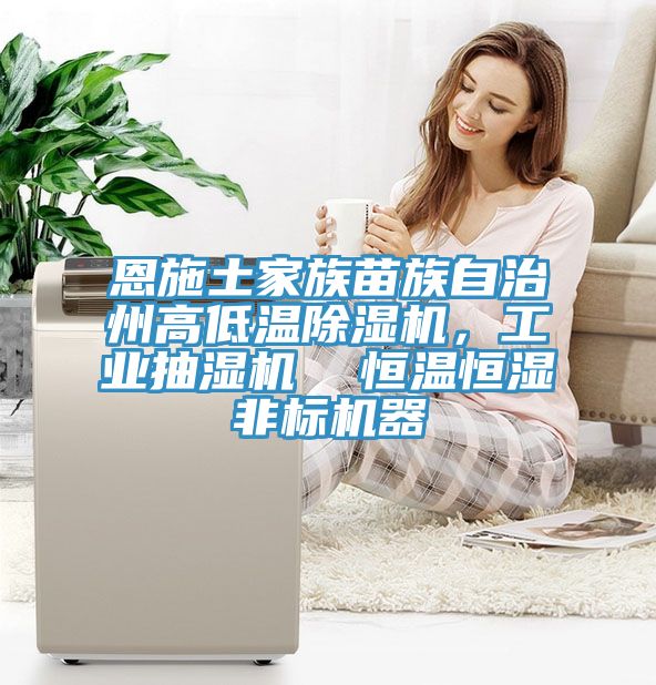 恩施土家族苗族自治州高低温辣椒视频APP下载并安装，工业抽湿机  恒温恒湿非标机器