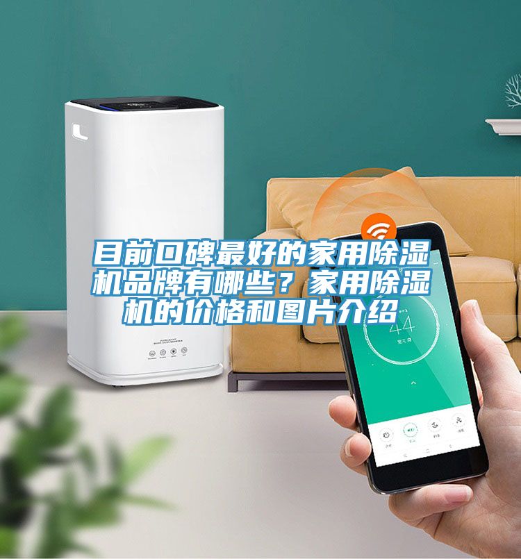 目前口碑最好的家用辣椒视频APP下载并安装品牌有哪些？家用辣椒视频APP下载并安装的价格和图片介绍