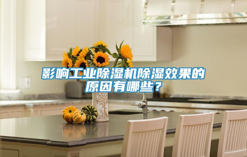 影响工业辣椒视频APP下载并安装除湿效果的原因有哪些？