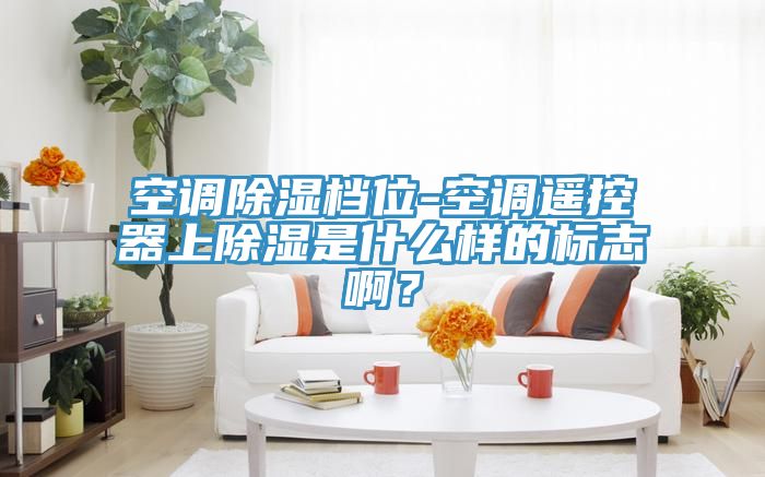 空调除湿档位-空调遥控器上除湿是什么样的标志啊？