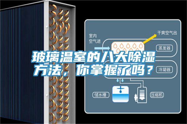 玻璃温室的八大除湿方法，你掌握了吗？