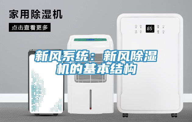 新风系统：新风辣椒视频APP下载并安装的基本结构