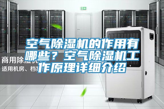 空气辣椒视频APP下载并安装的作用有哪些？空气辣椒视频APP下载并安装工作原理详细介绍