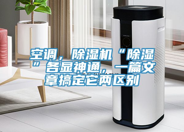 空调，辣椒视频APP下载并安装“除湿”各显神通，一篇文章搞定它两区别