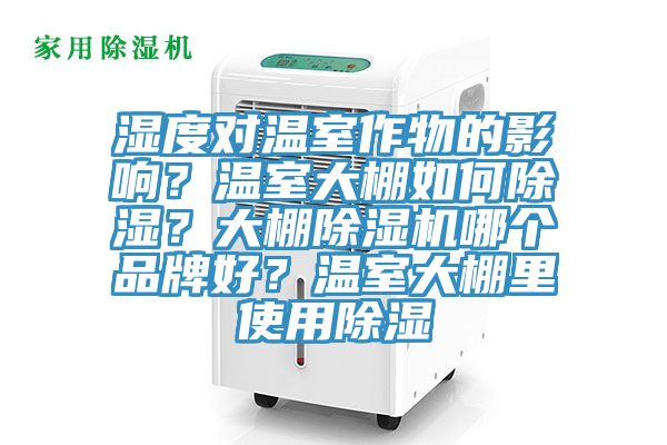 湿度对温室作物的影响？温室大棚如何除湿？大棚辣椒视频APP下载并安装哪个品牌好？温室大棚里使用除湿