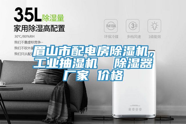 眉山市配电房辣椒视频APP下载并安装，工业抽湿机  除湿器厂家 价格