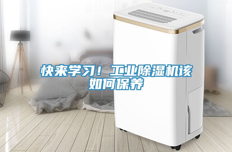 快来学习！工业辣椒视频APP下载并安装该如何保养