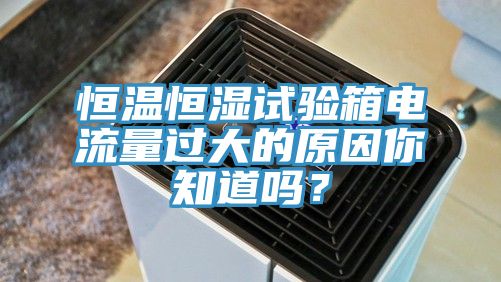 恒温恒湿试验箱电流量过大的原因你知道吗？