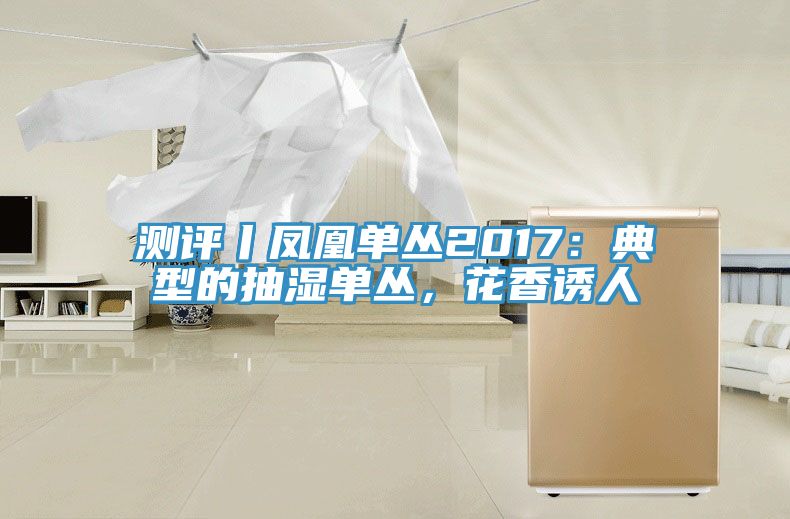 测评丨凤凰单丛2017：典型的抽湿单丛，花香诱人