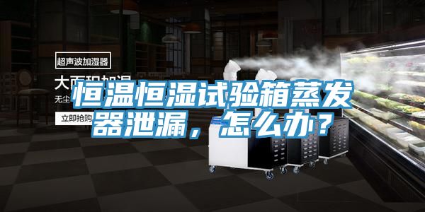 恒温恒湿试验箱蒸发器泄漏，怎么办？