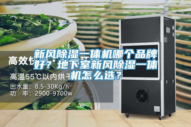 新风除湿一体机哪个品牌好？地下室新风除湿一体机怎么选？