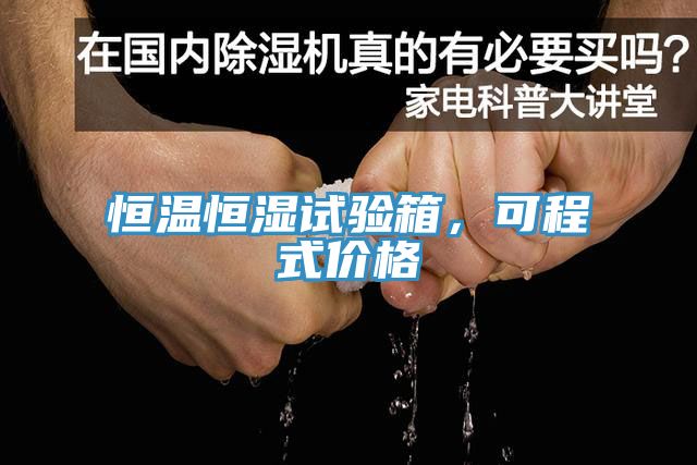 恒温恒湿试验箱，可程式价格