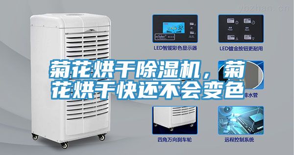 菊花烘干辣椒视频APP下载并安装，菊花烘干快还不会变色