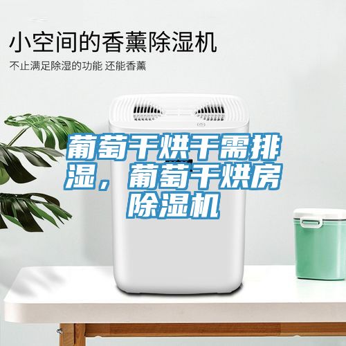 葡萄干烘干需排湿，葡萄干烘房辣椒视频APP下载并安装