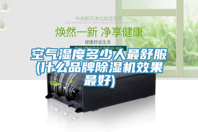 空气湿度多少人最舒服(什么品牌辣椒视频APP下载并安装效果最好)